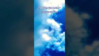 «Цитата из фильма «Кит (Keith)» #tiktok #тикток #story #trending #nature #video #отдых #travel