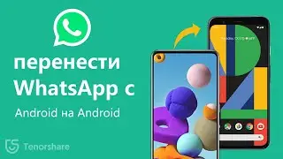 Перенести WhatsApp с Android на Android 13, если Google Диск заполнен