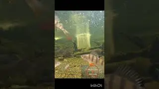 21 марта 2024 г.