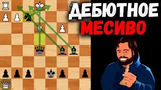 Дебютное месиво. Победит тот, кто ошибется предпоследним!