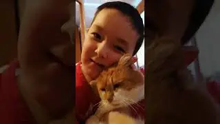 Мой кот Барсик которая вам уже показывала