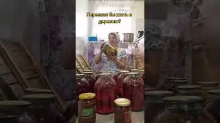 Эх деревня, деревенька, на пригорке три двора 