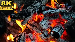 SUPER MACRO WORLD in 8K ULTRA HD