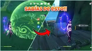 Cofre lujoso escondido 😶‍🌫️ | Arboleda Moutiyima | Sumeru guía | Genshin Impact