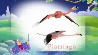 Sounds Birds Виды птиц и их звук