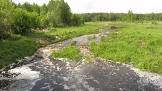 Река Илья в Чернобыльской зоне