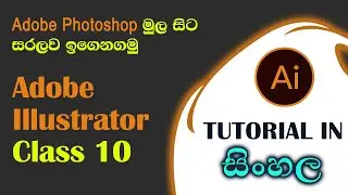 Illustrator basic class 10 | tutorial in Sinhala