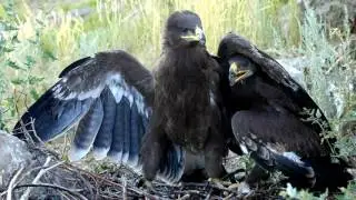 Сергей Жданов: 