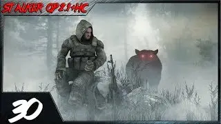 Прохождение  STALKER Народная Солянка + ОП 2.1 - Документы для Акима#30.