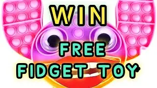 WIN A FIDGET TOYS | International GIVEAWAY Free Pop it 