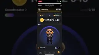 Хамстер Комбат Шифр и комбо карты 5 июня! Combo Hamster Kombat