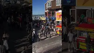 Spotted Ted Danson at PIER 39 San Francisco#shorts