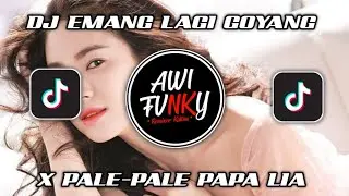 DJ EMANG LAGI GUYNG X PALE-PALE PAPA LIA