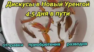 Хардкорная отправка дискусов 4,5 дня в пути