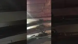 Дворец наместника. Часть 2