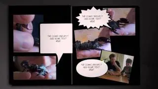 The Comic Project v. 1.2