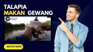 Kompilasi Memancing/ Fishing Compilation