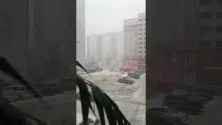 29 мая 2024 г.