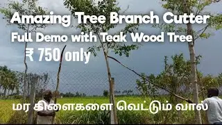 Amazing Tree Branch Cutter, ₹ 750 only. Full Demo with Teak Wood Tree #essenceworld