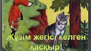 Жүзім жегісі келген қасқыр!
