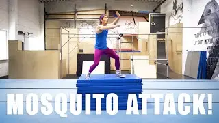 Mosquito Attack