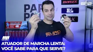 Atuador de Marcha Lenta: Você Sabe Para Que Serve? - Papo Polo 21