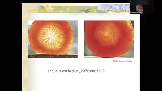 La biodynamie permet-elle de produire des aliments de qualité ?