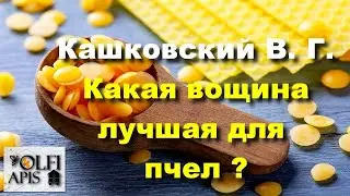 #Kashkovsky