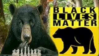 Black Lives Matter (Bears)