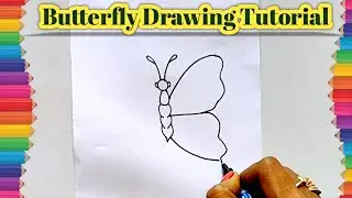 How to Draw Beautiful Butterfly | Drawing