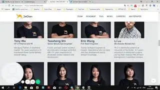 Обзор ico  DxChain