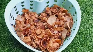 shajkan chutny //  wild mushroom //shajkan czrout #kashmiri wild food // healthy food