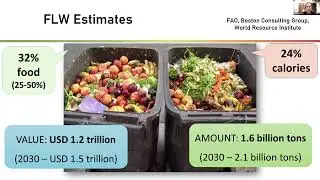 Harvesting Solutions: A Trio of Perspectives on Addressing Food Waste from Field to Fork
