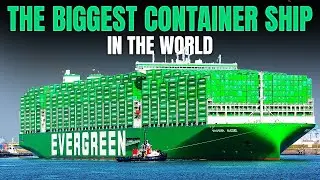 The biggest ship in the world! - Ever Ace Cargo Ship
