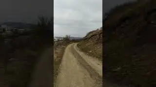 3 ноября 2024 г.