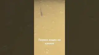 2. Через 12 часов после внесения дрожжей.