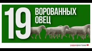 Где овцы?