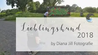Graffiti Outdoor-Shooting mit Hund | 2. Runde Lieblingshund 2018
