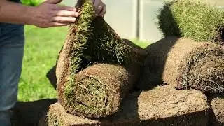 Installing Turfgrass/Sod - Process Overview