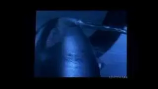 Implosive cavitation.