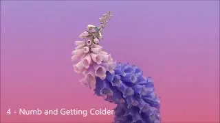 Flume - Skin LP (Spoilers)