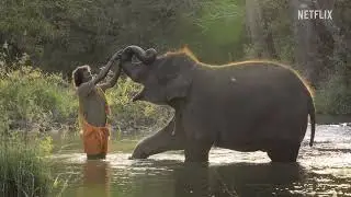 The Elephant Whisperers, a Documentary Short-Film, Now Available on Netflix