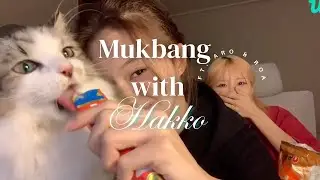 HAKKO Mukbang ft. Aro and Roa