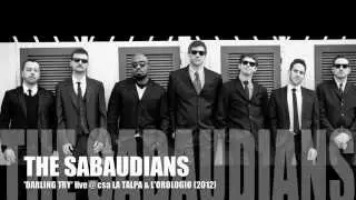 THE SABAUDIANS: DARLING TRY