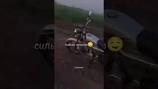 #музыка #alpha
