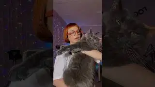 СМОЖЕМ ЛИ МЫ ВЫЖИТЬ В ФИЛЬМЕ «ТИХОЕ МЕСТО»