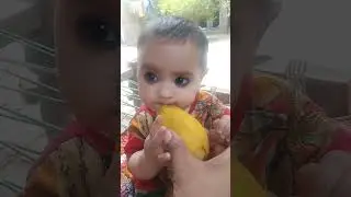 Aisha bibi baba ke Jan MA SHA ALLAH