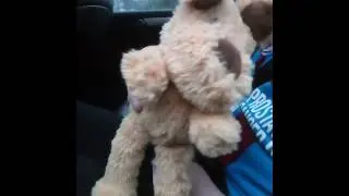 The Tuna Wrap - Tuner the teddy ft.  Joe Tomlinson