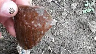 Краеведческий поход в Каякентский район.