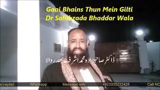 Gaai Bhains Thun Mein Gilti Dr Sahibzada Bhaddar Wala